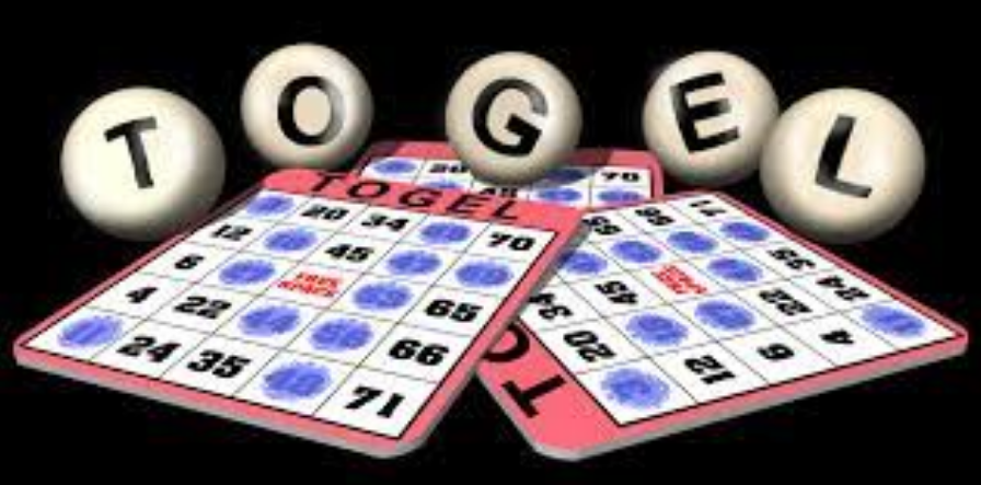 Mind of a Bandar Togel