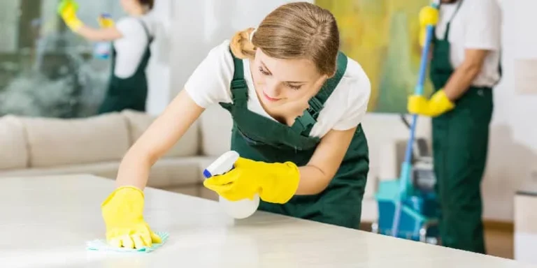 Professional Cleanings