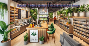 Understanding "Matae" in The Bear: Unveiling Its Meaning - Bati Magazine