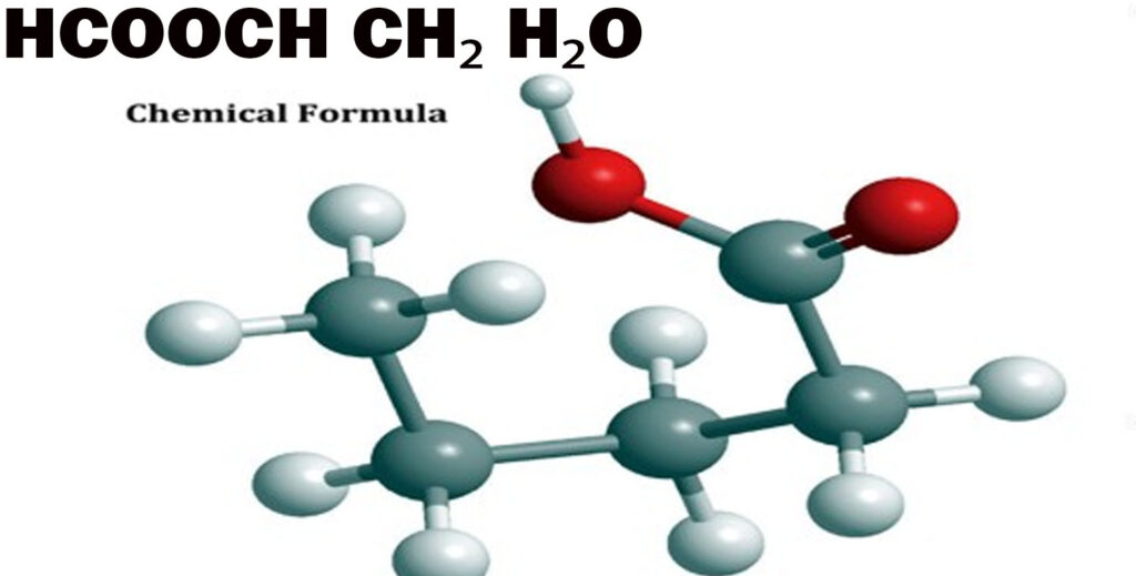 HCOOCH CH₂ H₂O